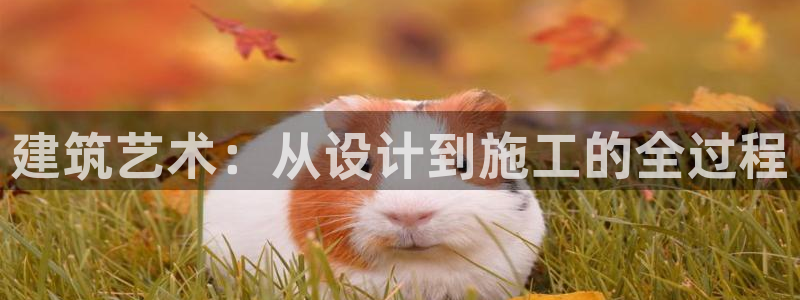 意昂体育3平台注册要钱吗安全吗：建筑艺术：从设计到施工的全过程