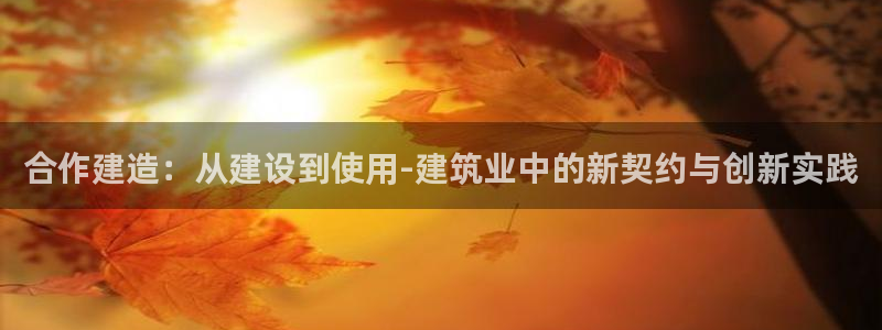意昂3神州：合作建造：从建设到使用-建筑业中的新契约与创新实践