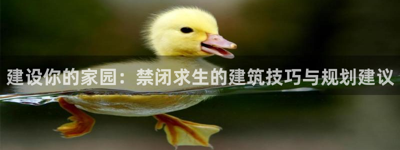 意昂3娱乐：建设你的家园：禁闭求生的建筑技巧与规划建议