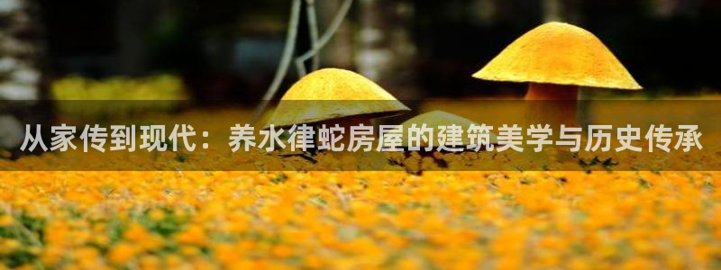 意昂3集团官网首页网址：从家传到现代：养水律蛇房屋的建筑美学与历史传承