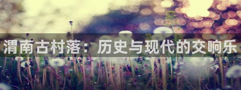 海南意昂体育3：渭南古村落：历史与现代的交响乐