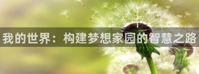 意昂体育3软件：我的世界：构建梦想家园的智慧之路