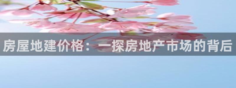 意昂体育3招商电话地址是多少：房屋地建价格：一探房地产市场的背后