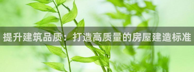 德国意昂3集团：提升建筑品质：打造高质量的房屋建造标准