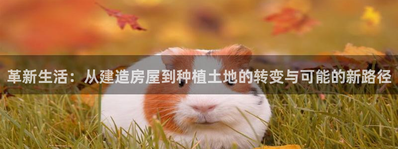 意昂3代理：革新生活：从建造房屋到种植土地的转变与可能的新路径