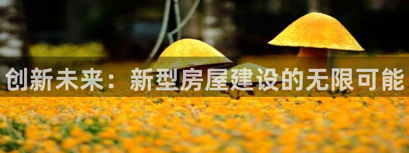 意昂体育3平台是正规平台吗：创新未来：新型房屋建设的无限可能