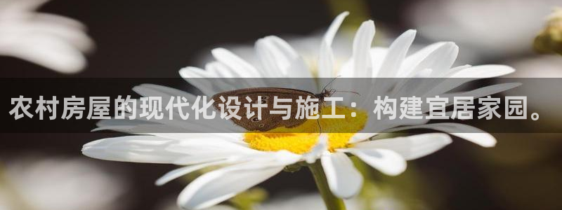 意昂3娱乐是那个系列的台子：农村房屋的现代化设计与施工：构建宜居家园。