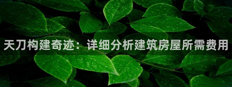 意昂体育3平台注册要钱吗是真的吗：天刀构建奇迹：详细分析建筑房屋所需费用