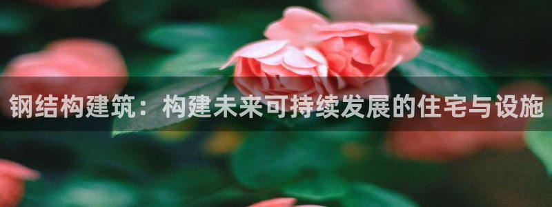 意昂3娱乐：钢结构建筑：构建未来可持续发展的住宅与设施