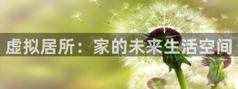 意昂体育3平台注册：虚拟居所：家的未来生活空间