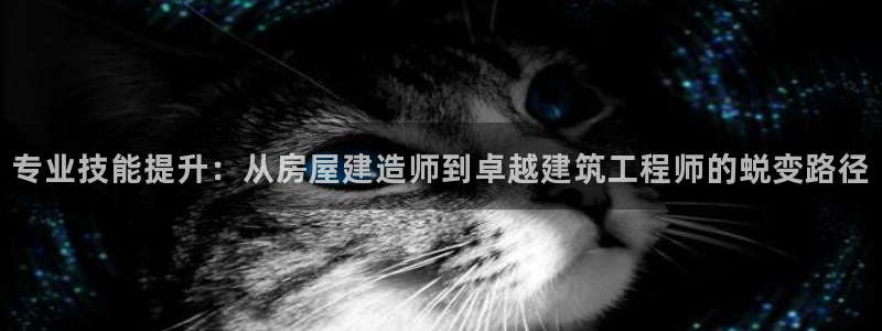 意昂集团官网：专业技能提升：从房屋建造师到卓越建筑工程师的蜕变路径