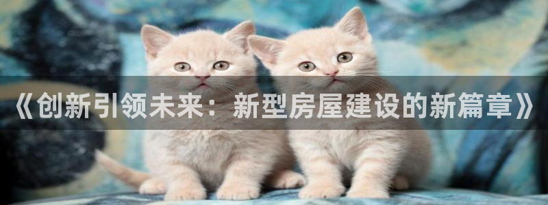 意昂体育3注册：《创新引领未来：新型房屋建设的新篇章》