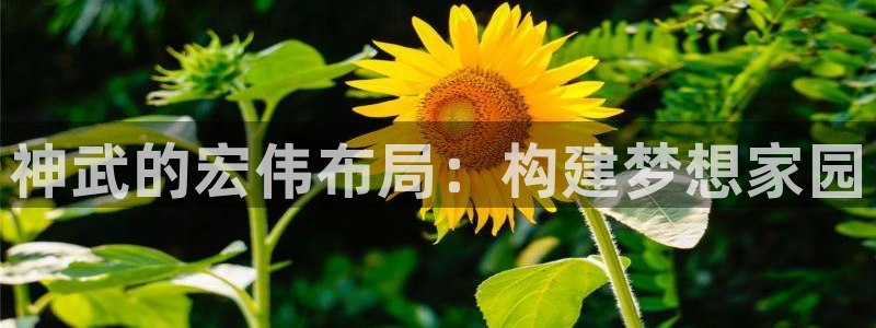 意昂3娱乐网站：神武的宏伟布局：构建梦想家园