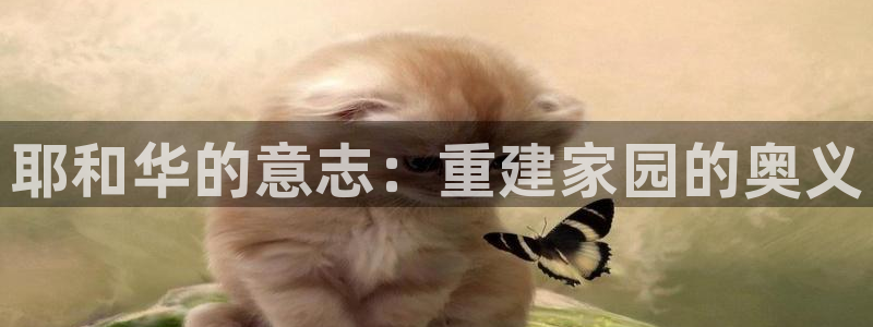 海南意昂体育3：耶和华的意志：重建家园的奥义