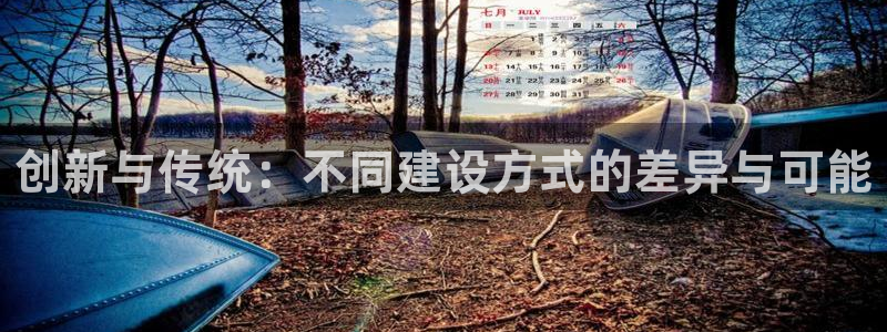 意昂平台体育：创新与传统：不同建设方式的差异与可能