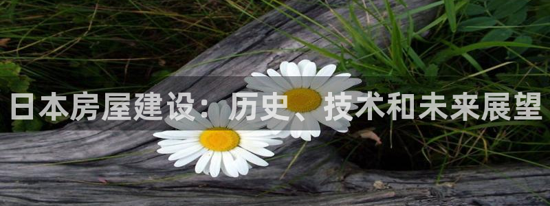 意昂体育3平台注册要钱吗安全吗：日本房屋建设：历史、技术和未来展望