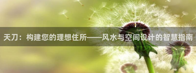 意昂体育3娱乐：天刀：构建您的理想住所——风水与空间设计的智慧指南