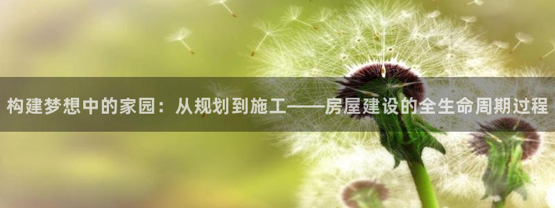 意昂3娱乐首页网站大全：构建梦想中的家园：从规划到施工——房屋建设的全生命周期过程