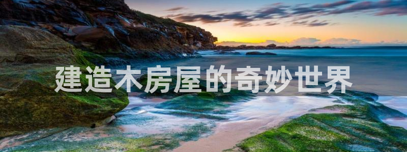 意昂体育3平台注册要钱吗安全吗：建造木房屋的奇妙世界