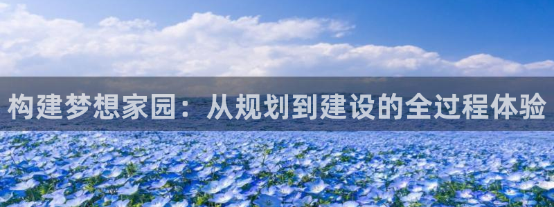意昂3集团：构建梦想家园：从规划到建设的全过程体验