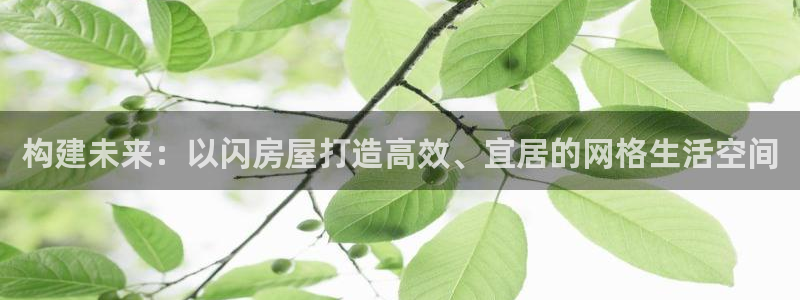 意昂体育3招商电话地址是多少：构建未来：以闪房屋打造高效、宜居的网格生活空间