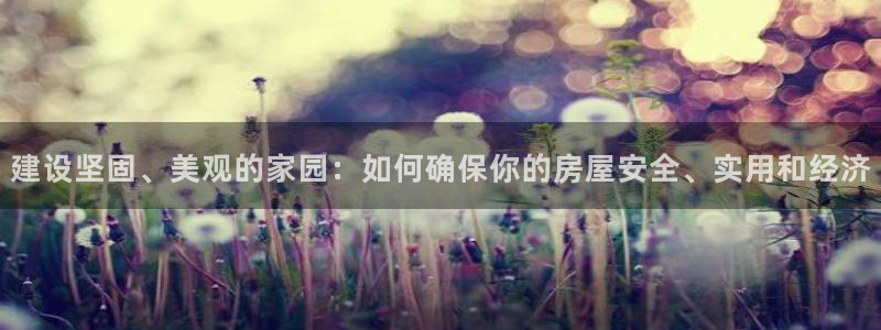 意昂3新能源：建设坚固、美观的家园：如何确保你的房屋安全、实用和经济