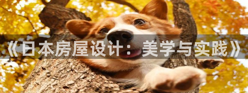 意昂体育3招商电话号码查询是多少：《日本房屋设计：美学与实践》