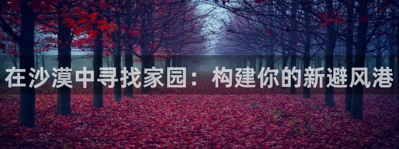 意昂体育3平台注册流程视频：在沙漠中寻找家园：构建你的新避风港