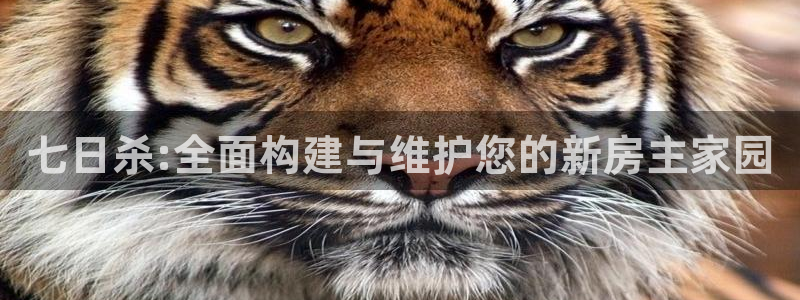 意昂体育3平台是正规平台吗：七日杀:全面构建与维护您的新房主家园