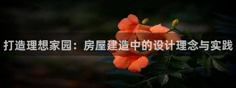 意昂体育3平台注册要钱吗安全吗：打造理想家园：房屋建造中的设计理念与实践