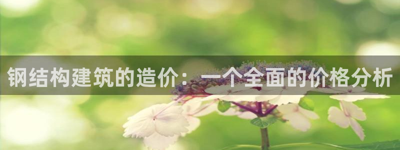 意昂体育3开户：钢结构建筑的造价：一个全面的价格分析