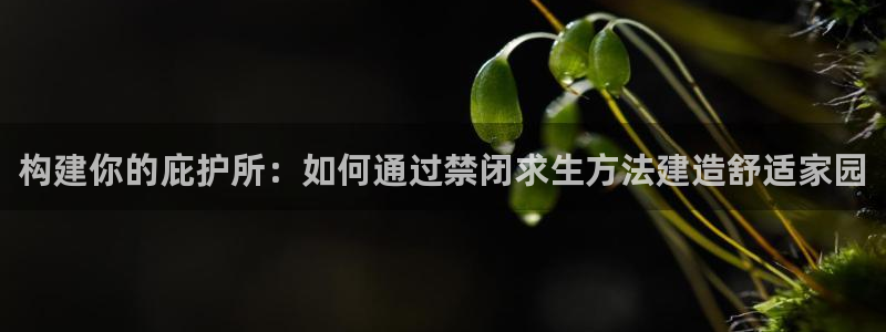 意昂体育3软件：构建你的庇护所：如何通过禁闭求生方法建造舒适家园