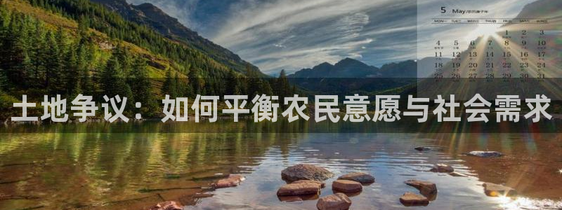 意昂3五金厂：土地争议：如何平衡农民意愿与社会需求