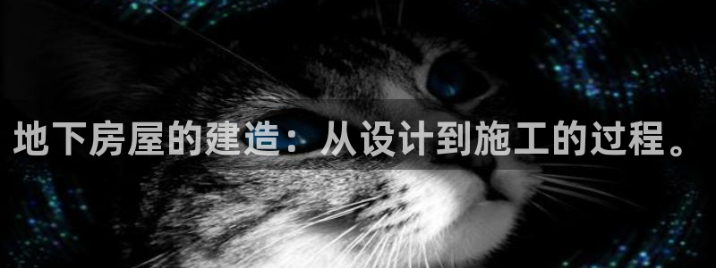 意昂体育3平台：地下房屋的建造：从设计到施工的过程。