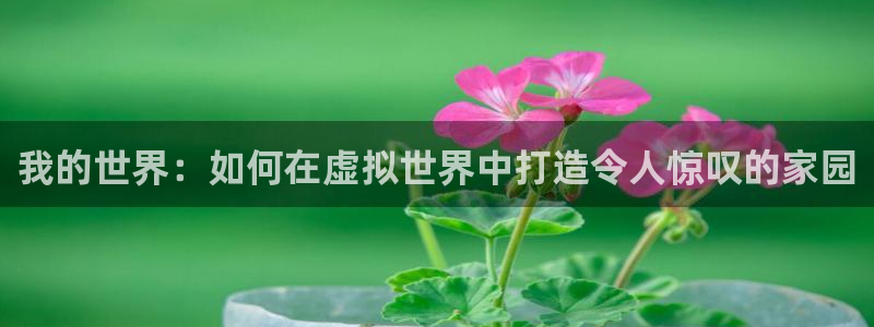 意昂体育3招商电话号码查询：我的世界：如何在虚拟世界中打造令人惊叹的家园