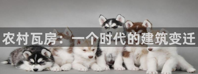 意昂体育3招商电话地址查询：农村瓦房：一个时代的建筑变迁