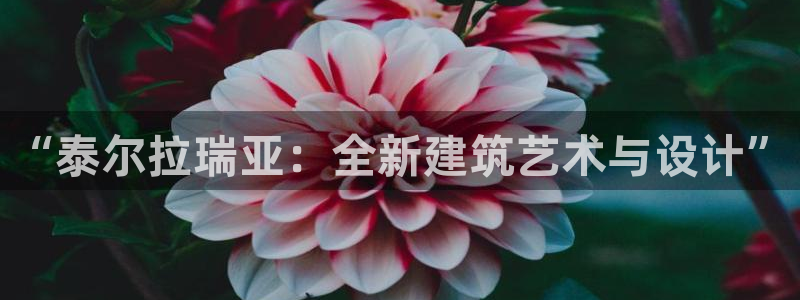 意昂体育3招商电话是多少