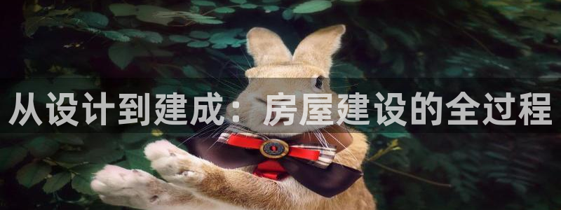 意昂3集团简介：从设计到建成：房屋建设的全过程