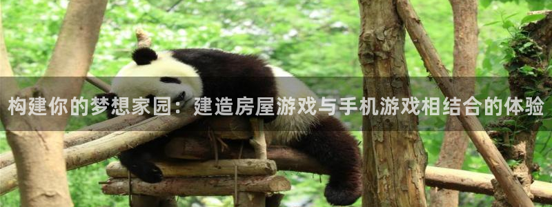 意昂体育3平台注册要钱吗：构建你的梦想家园：建造房屋游戏与手机游戏相结合的体验