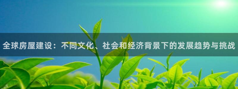 意昂体育3平台假的吗是真的吗吗：全球房屋建设：不同文化、社会和经济背景下的发展趋势与挑战