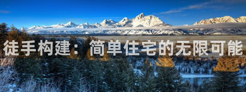 意昂体育3注册：徒手构建：简单住宅的无限可能