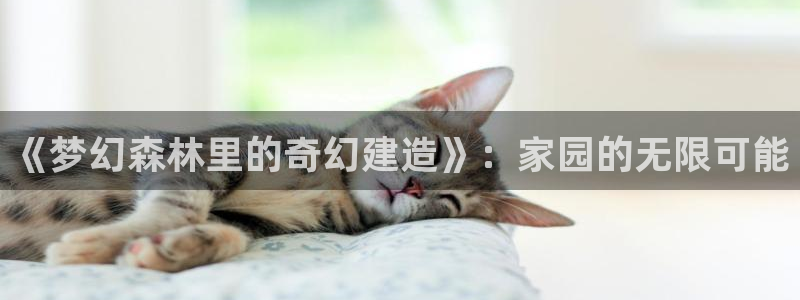 意昂体育3联系电话：《梦幻森林里的奇幻建造》：家园的无限可能