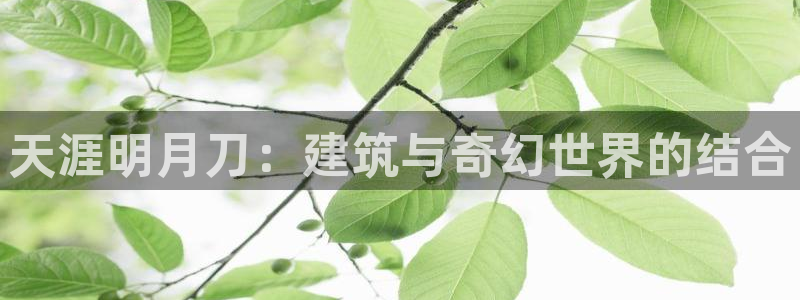 意昂体育3招商电话地址：天涯明月刀：建筑与奇幻世界的结合