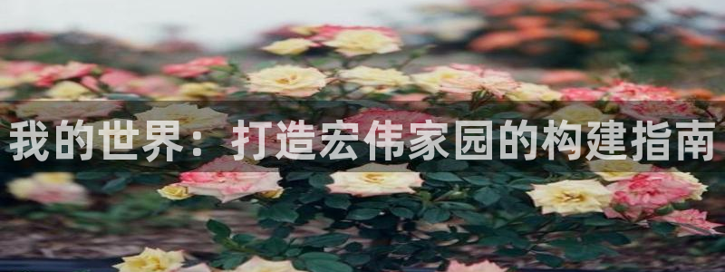 意昂体育3招商电话号码是多少号