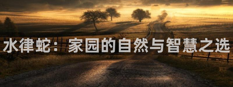 意昂体育3招商电话号码是多少号：水律蛇：家园的自然与智慧之选