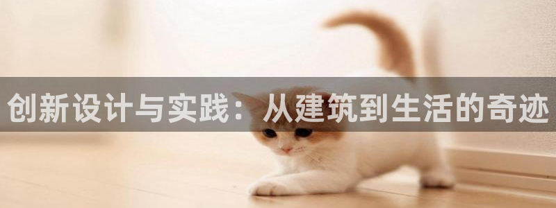 海南意昂体育3：创新设计与实践：从建筑到生活的奇迹