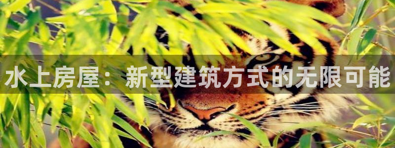 意昂体育3招商电话地址：水上房屋：新型建筑方式的无限可能
