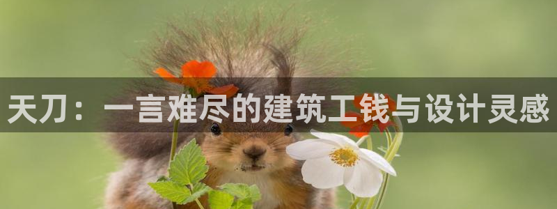 意昂3新能源：天刀：一言难尽的建筑工钱与设计灵感