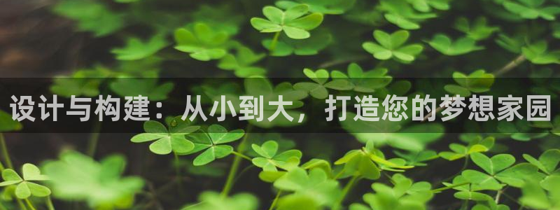 意昂体育3平台假的吗是真的吗：设计与构建：从小到大，打造您的梦想家园