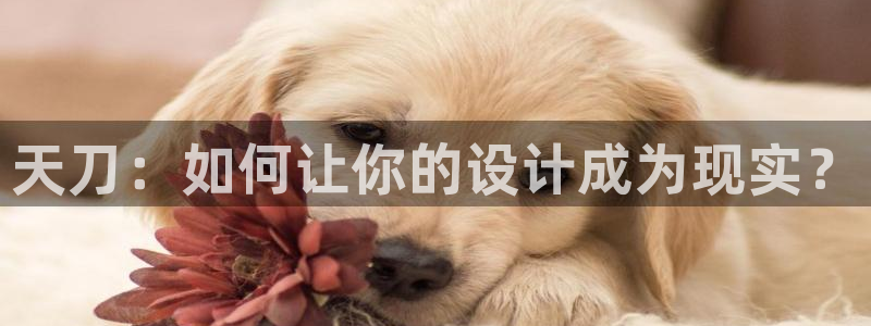 意昂体育3招商电话是多少